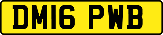 DM16PWB