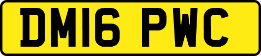 DM16PWC