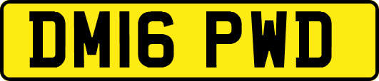 DM16PWD