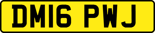 DM16PWJ