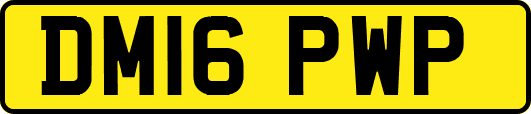 DM16PWP
