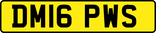 DM16PWS