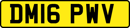 DM16PWV