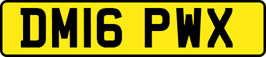 DM16PWX