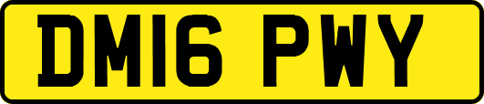 DM16PWY