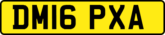 DM16PXA