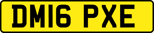 DM16PXE