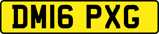 DM16PXG