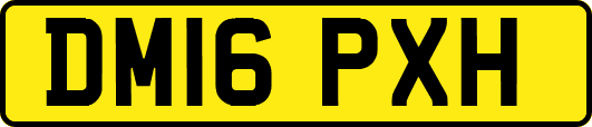 DM16PXH