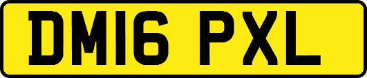 DM16PXL