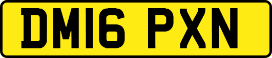 DM16PXN