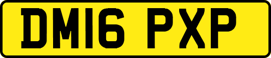 DM16PXP