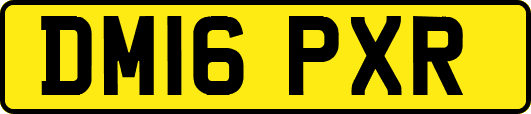 DM16PXR