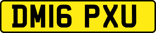 DM16PXU