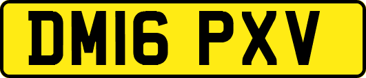 DM16PXV