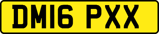 DM16PXX
