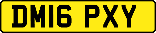 DM16PXY
