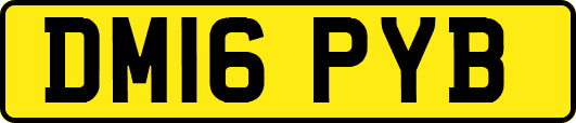 DM16PYB