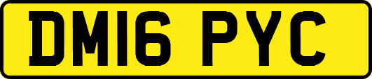 DM16PYC