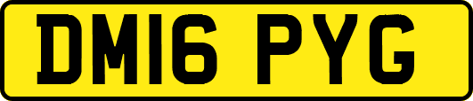 DM16PYG