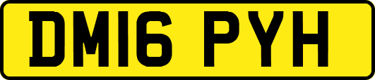 DM16PYH