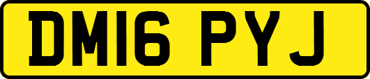 DM16PYJ