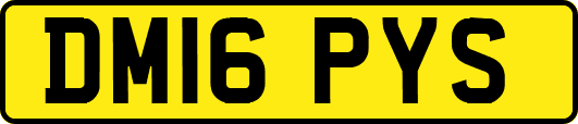 DM16PYS