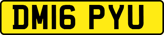 DM16PYU