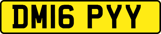DM16PYY
