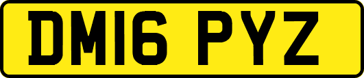 DM16PYZ