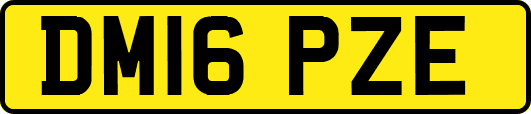 DM16PZE