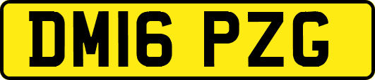 DM16PZG