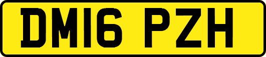 DM16PZH
