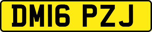 DM16PZJ