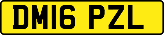 DM16PZL