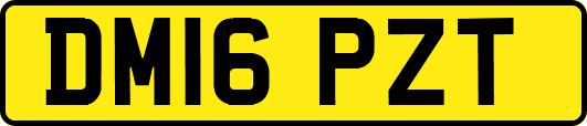 DM16PZT