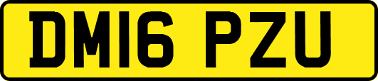 DM16PZU