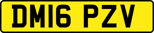 DM16PZV