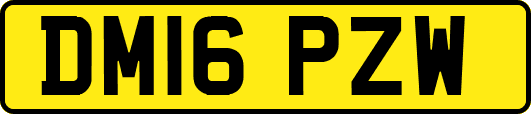 DM16PZW