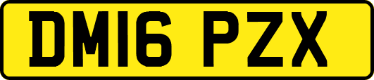 DM16PZX