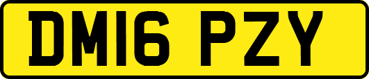 DM16PZY