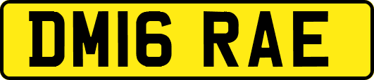DM16RAE