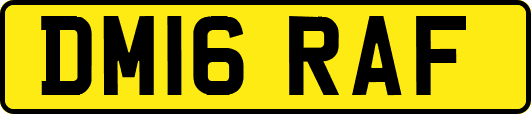 DM16RAF