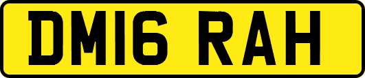 DM16RAH