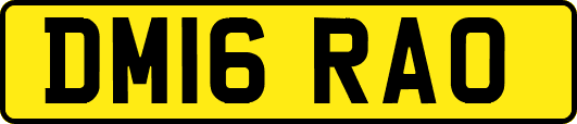 DM16RAO