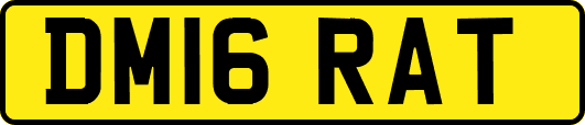 DM16RAT