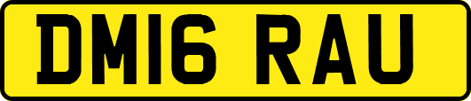 DM16RAU