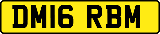 DM16RBM