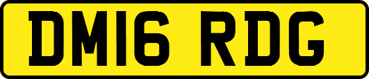 DM16RDG