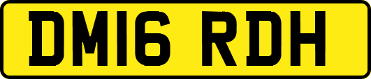 DM16RDH